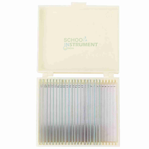 Biology Prepared Slide Set of 16